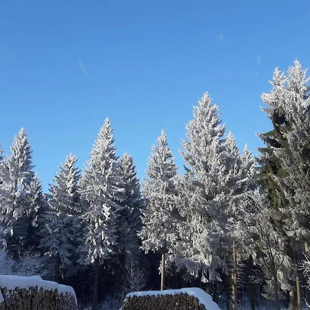 アパート Floehatalblick *