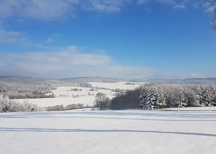 Apartment Flöhatalblick