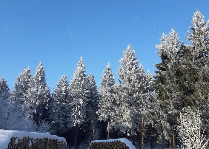 Apartment Flöhatalblick *