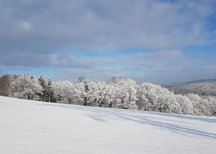 Flöhatalblick Apartment