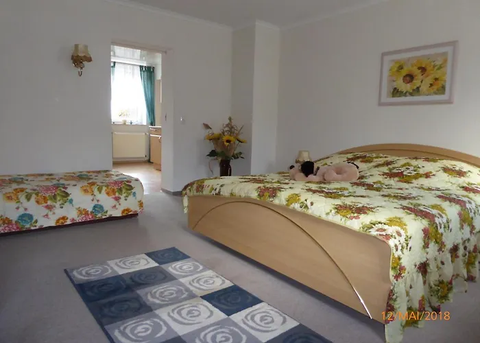 Flöhatalblick Olbernhau