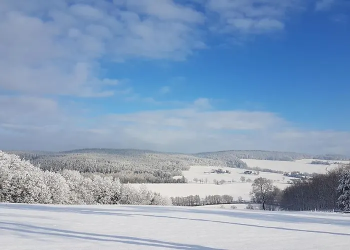 Apartment Flöhatalblick