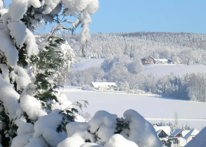 Flöhatalblick Apartment Olbernhau